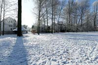 Winter-im-Park_Ulm